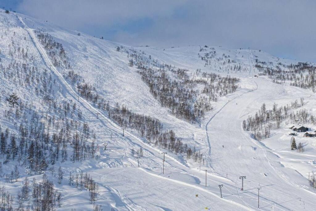 Leilighet - Panorama View - Sogndal Skisenter Hodlekve Apartamento Exterior foto